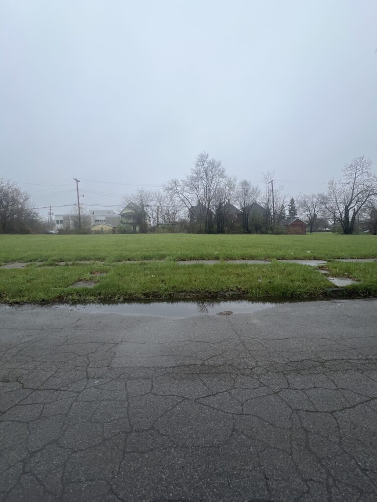 3863-MOHAWK-ST-DETROIT-MI-48208-768x1024.jpeg