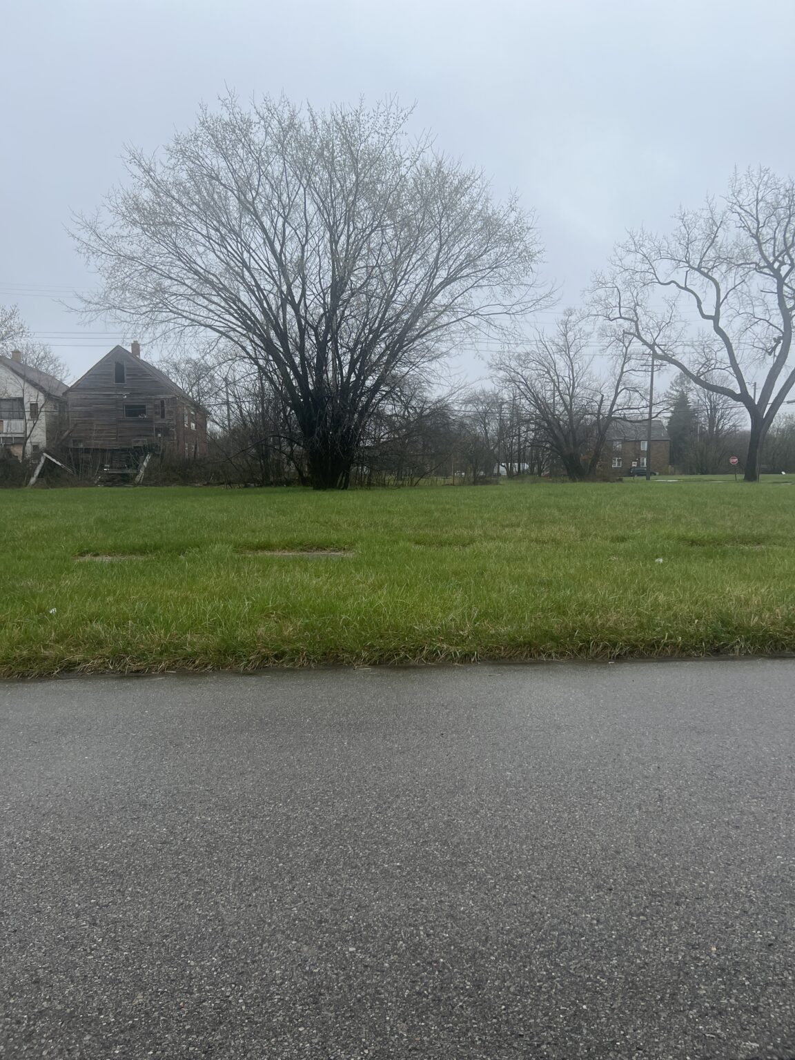 5512-MITCHELL-ST-DETROIT-MI-48211-1152x1536.jpeg