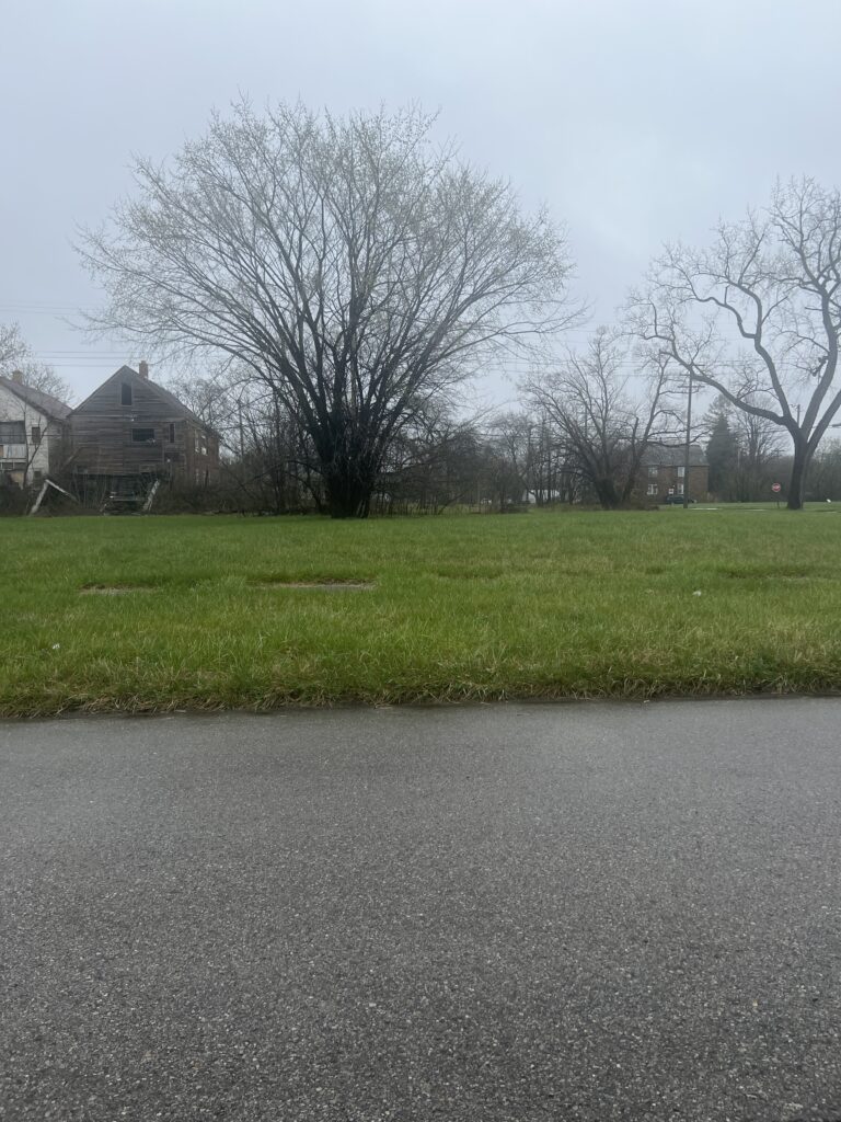 5512-MITCHELL-ST-DETROIT-MI-48211-768x1024.jpeg