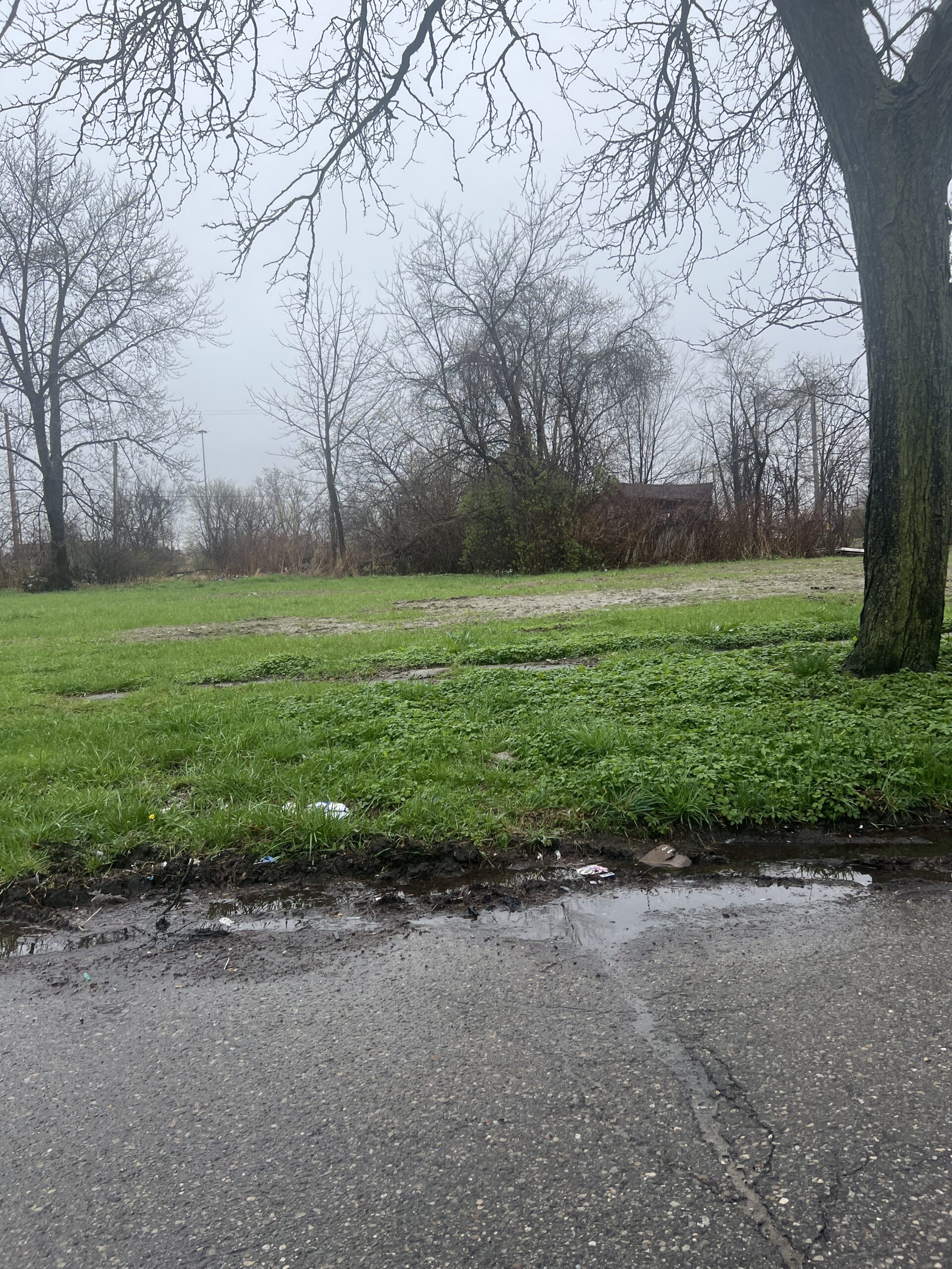 5628-24TH-ST-DETROIT-MI-48208-scaled.jpeg