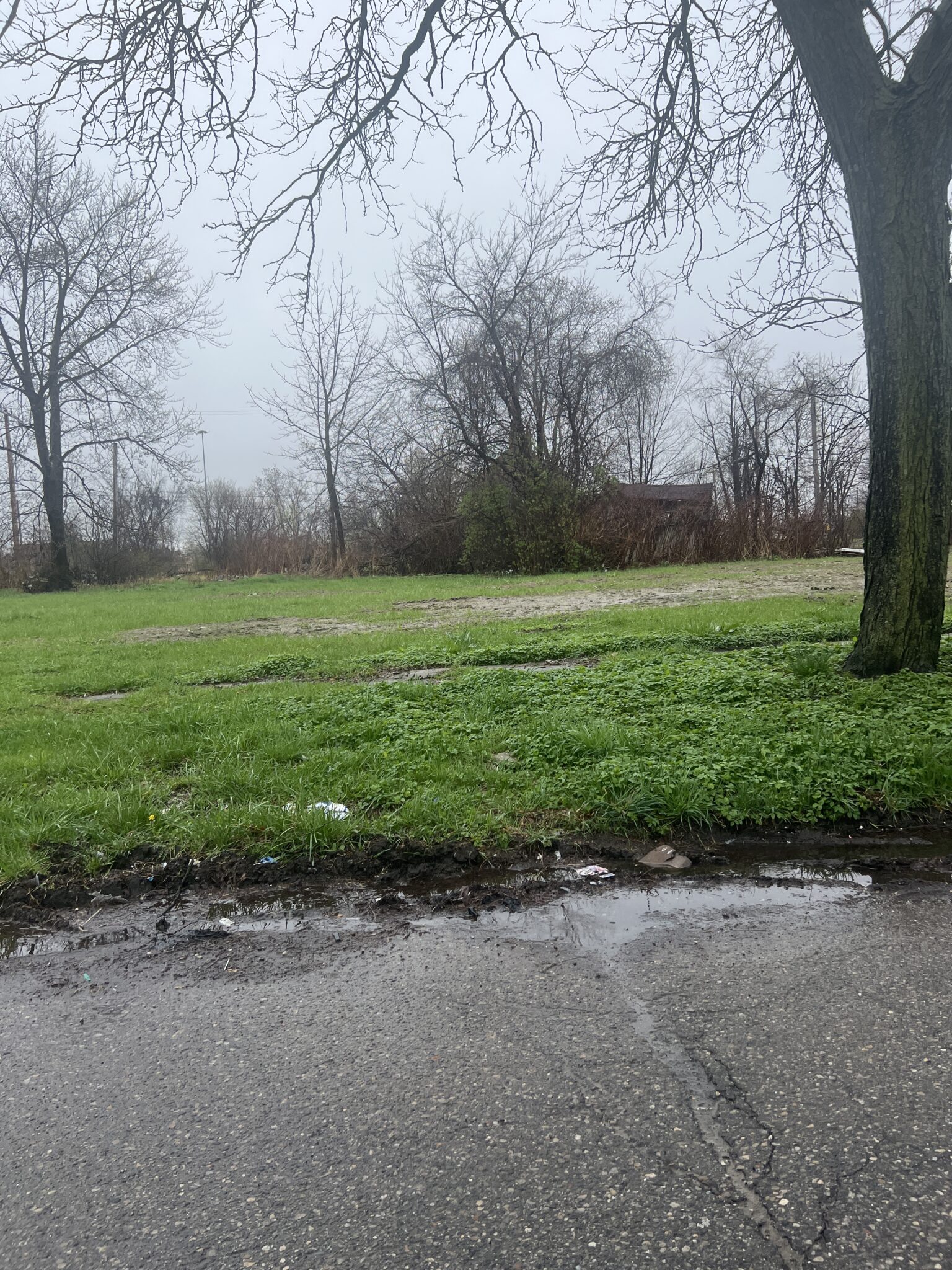 5628-24TH-ST-DETROIT-MI-48208-1536x2048.jpeg